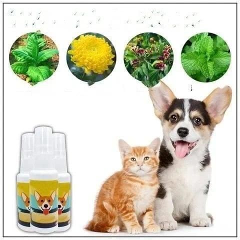 Potty Training Spary for Dog & Cat