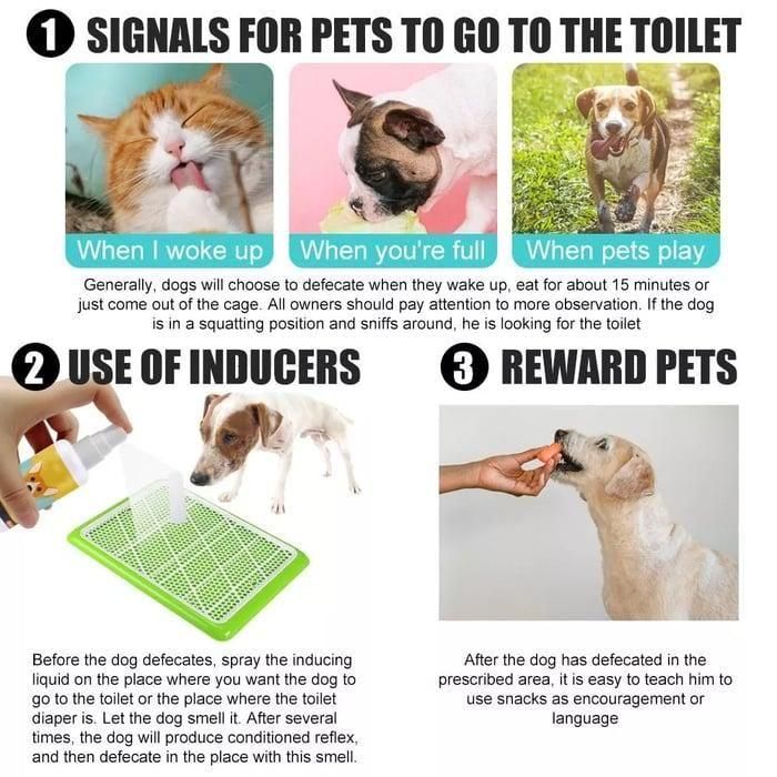 Potty Training Spary for Dog & Cat